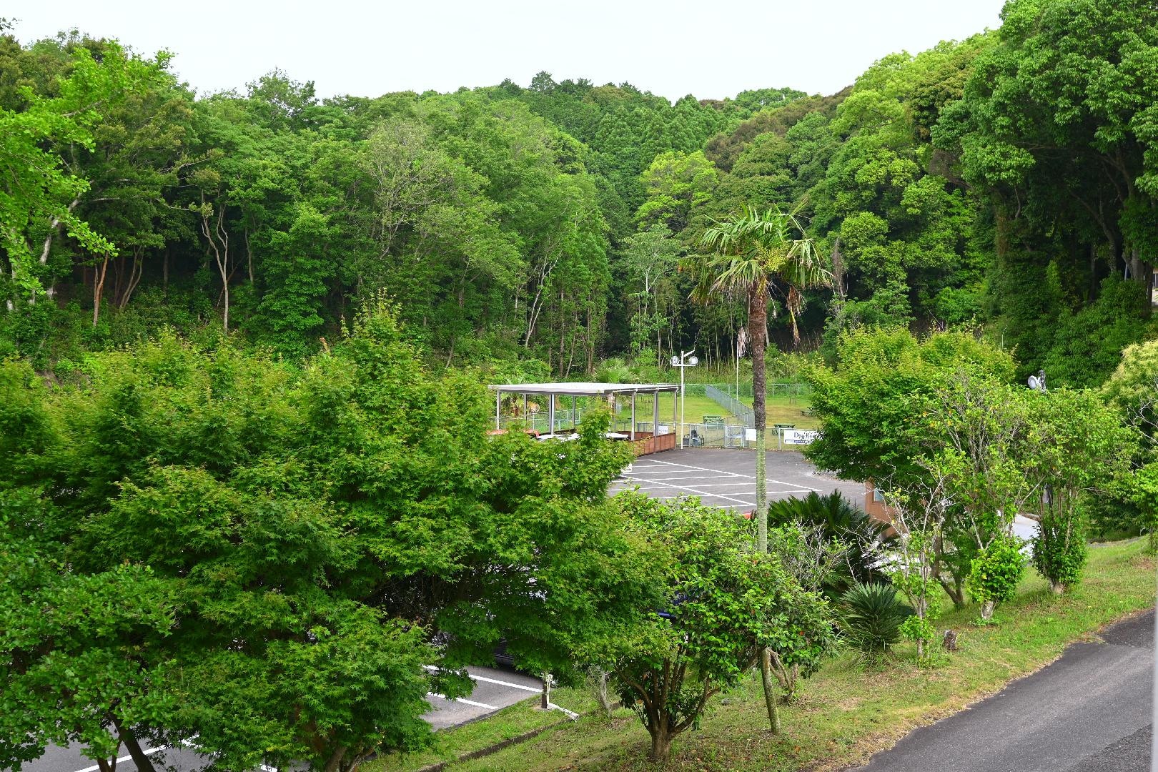 DSC_2901.JPG