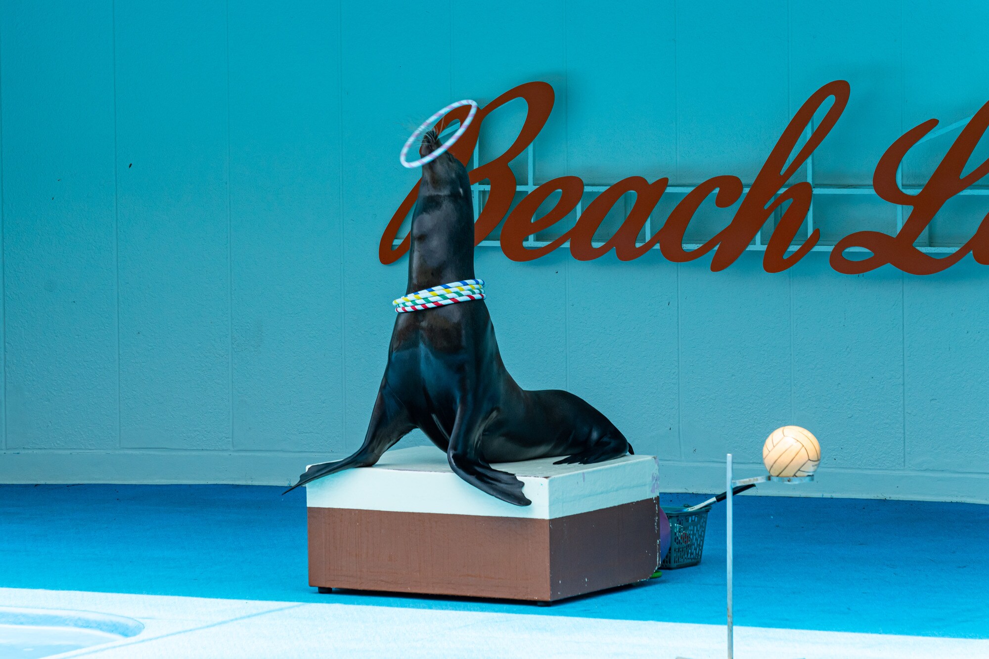 ☆Minamichita Beach Land