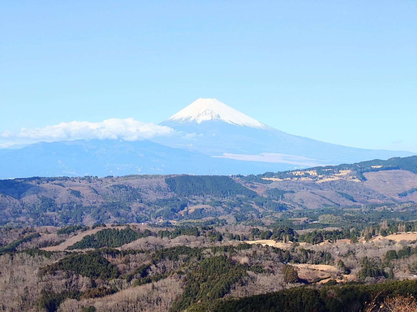 20260110 伊豆スカイライン巣雲山園地から富士山を望む.JPG
