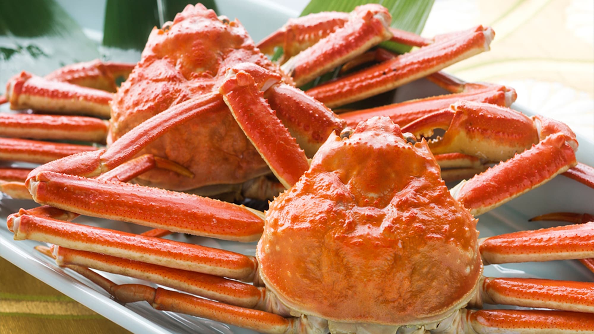 [อาหาร Yuhigaura] ~แนะนำเมนูปูหน้าหนาว~