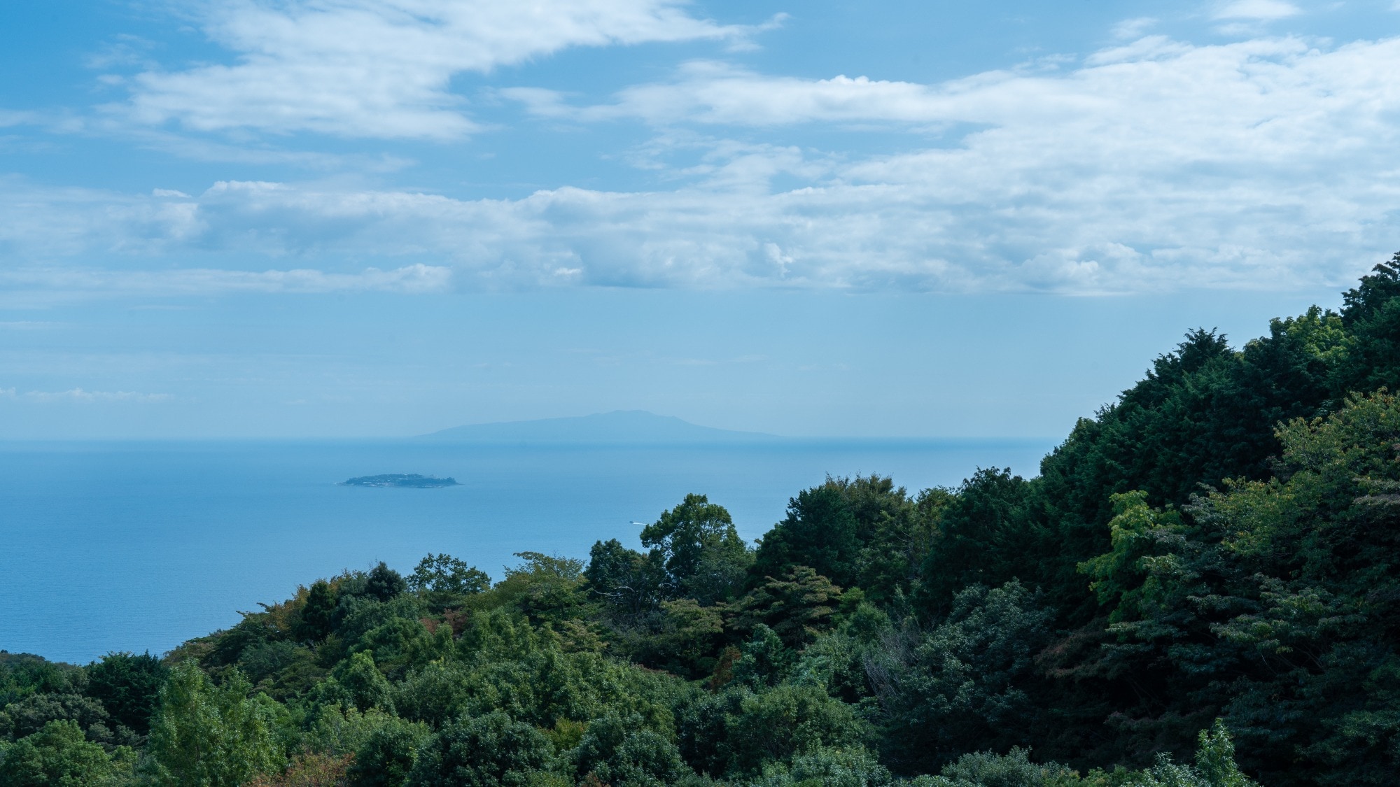 看法