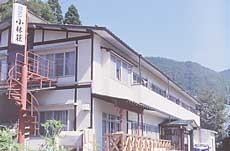 Appearance image