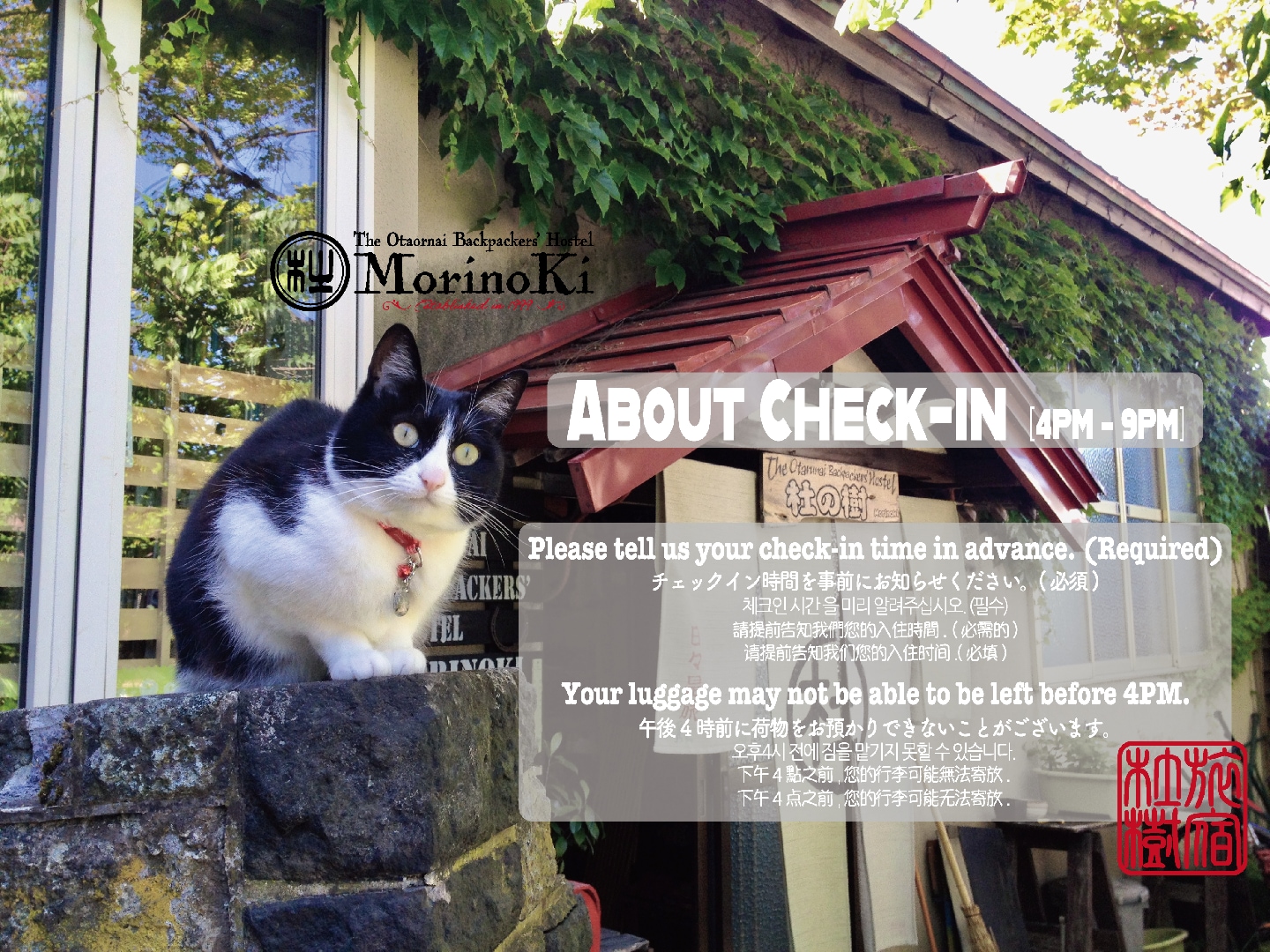 About Check-in