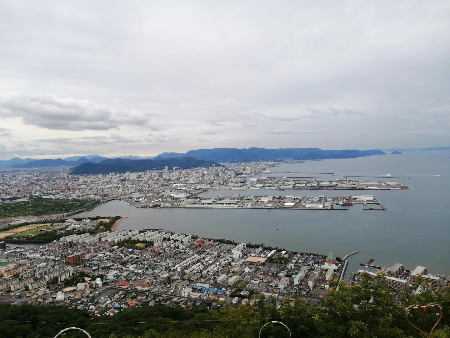 IMG_20260622_104543.jpg