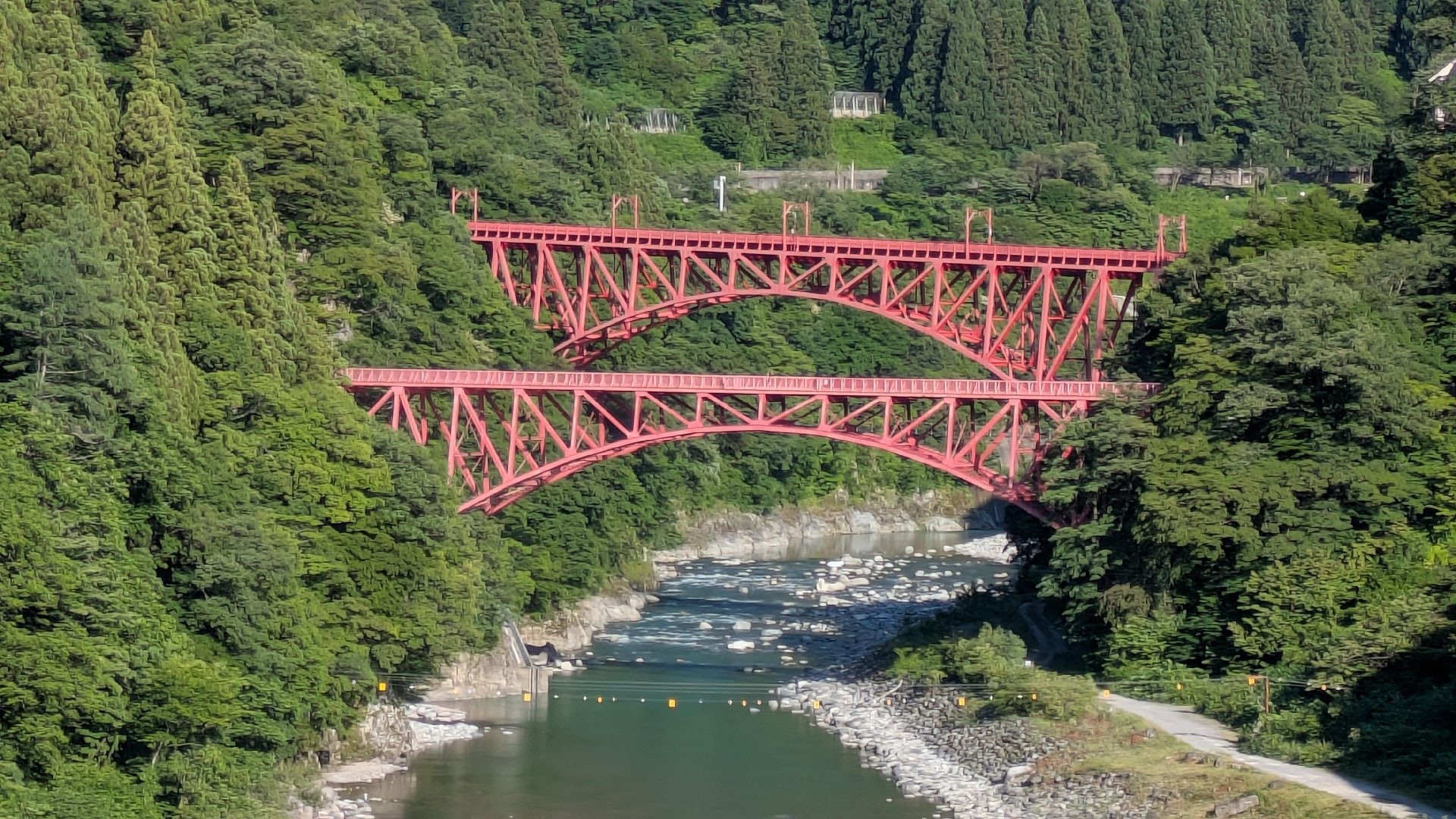 PXL_20260610_080142709.MP.jpg