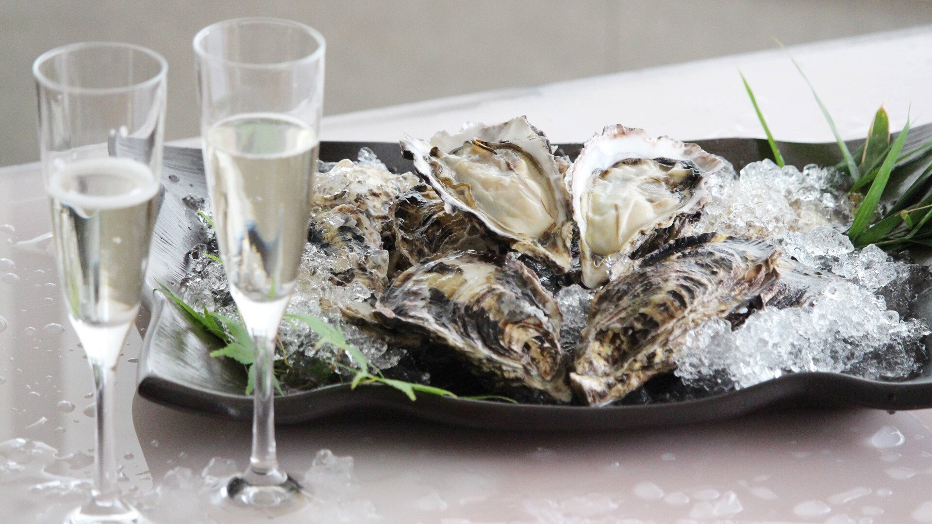 Oyster image