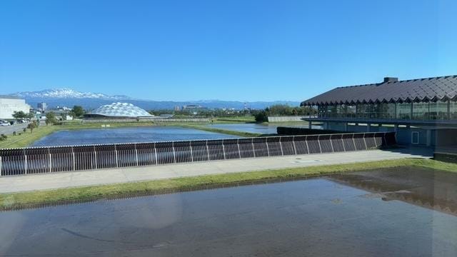 IMG_9703.JPG