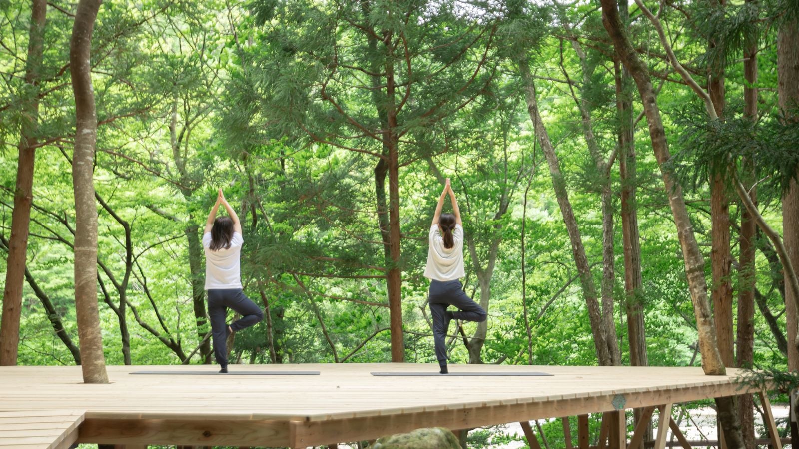 ★★Yoga image