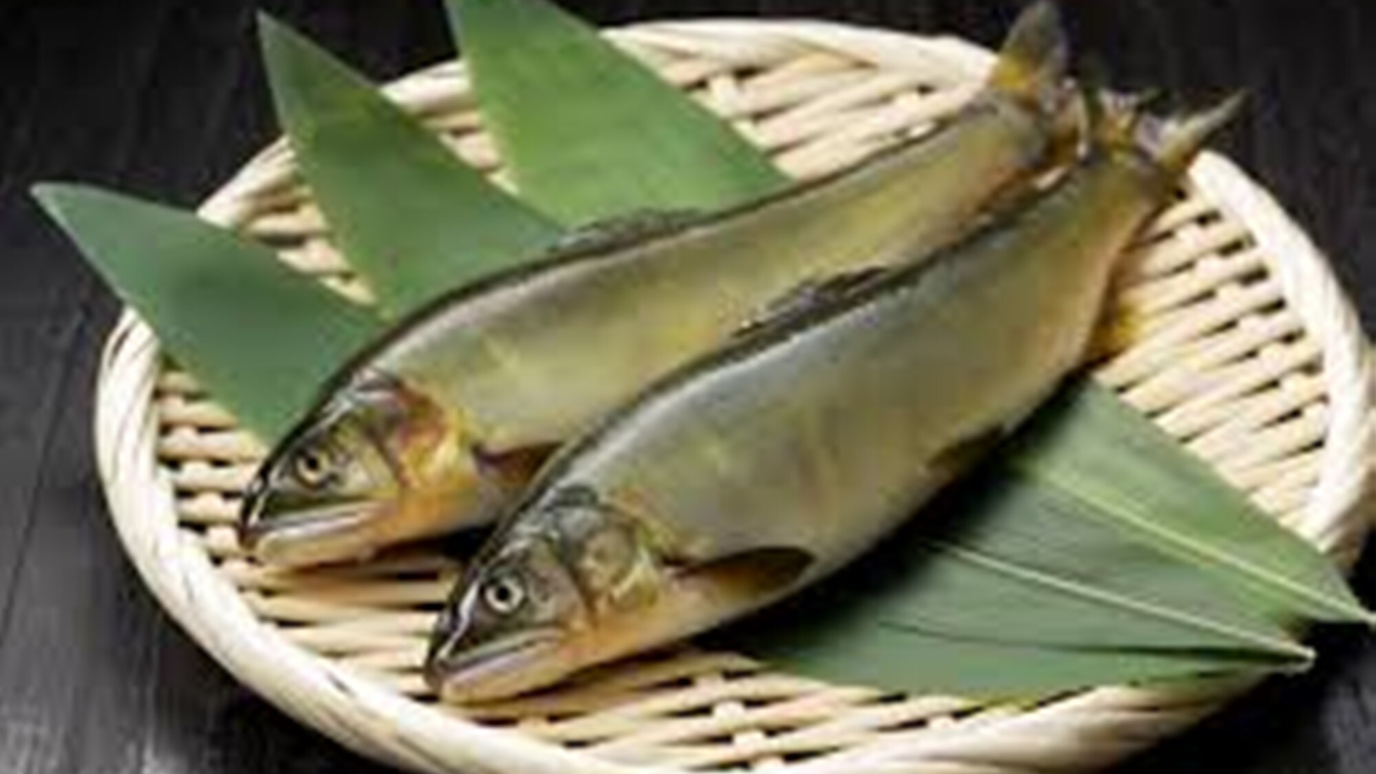 ※廣島縣屈指可數的一級河太田川中養殖的天然香魚
