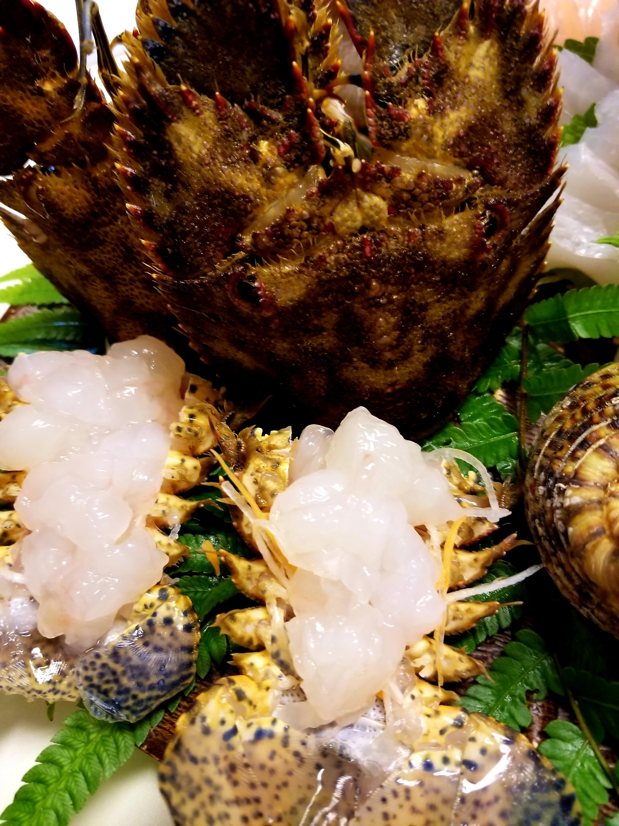 Giant shrimp