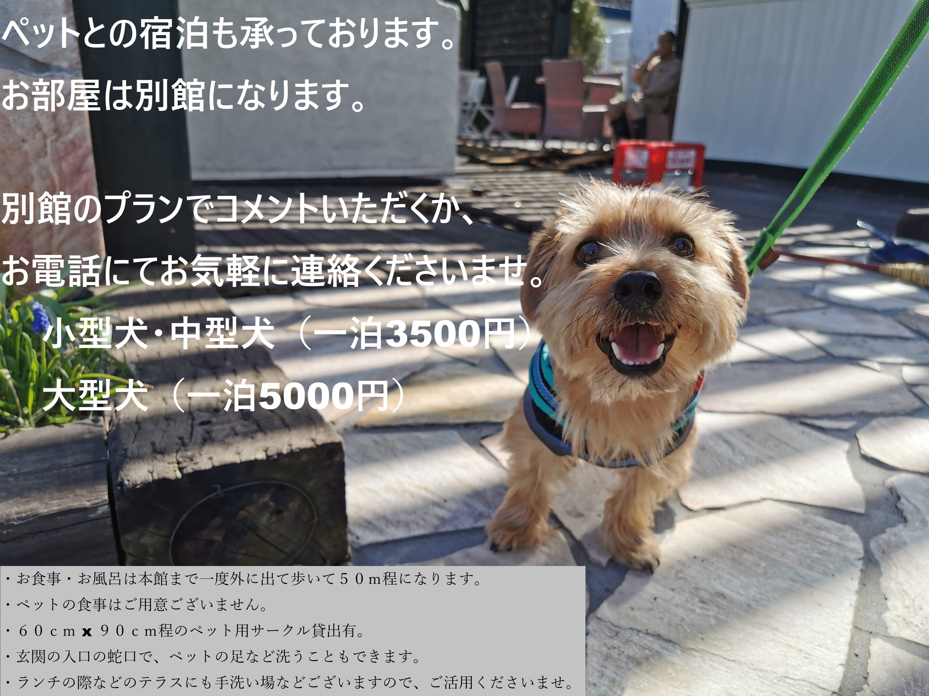 Accommodation with pets