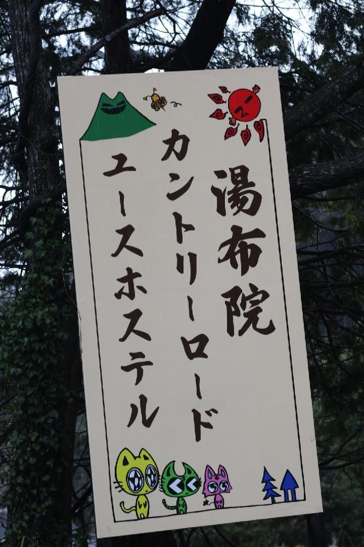 919BD932-A843-4915-B93E-381C54EBC0B7.jpeg