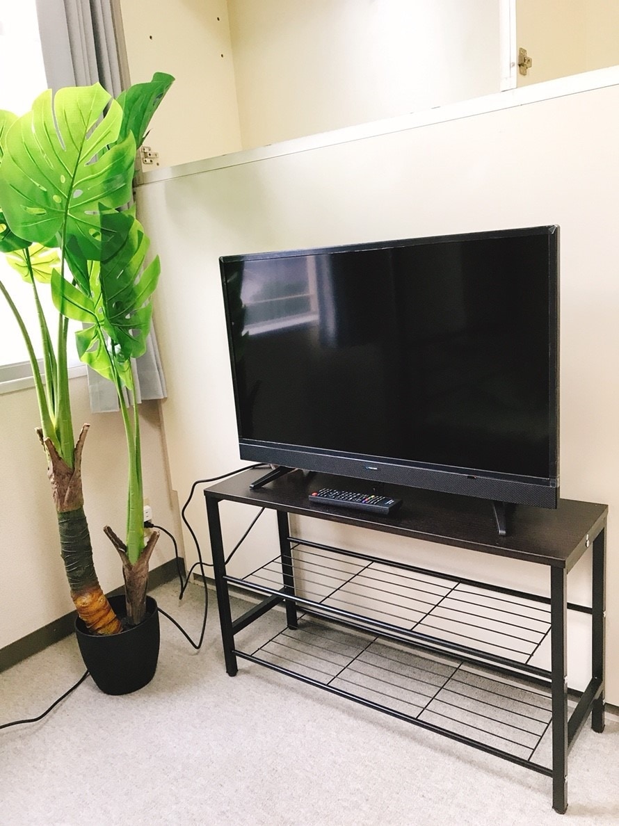 電視