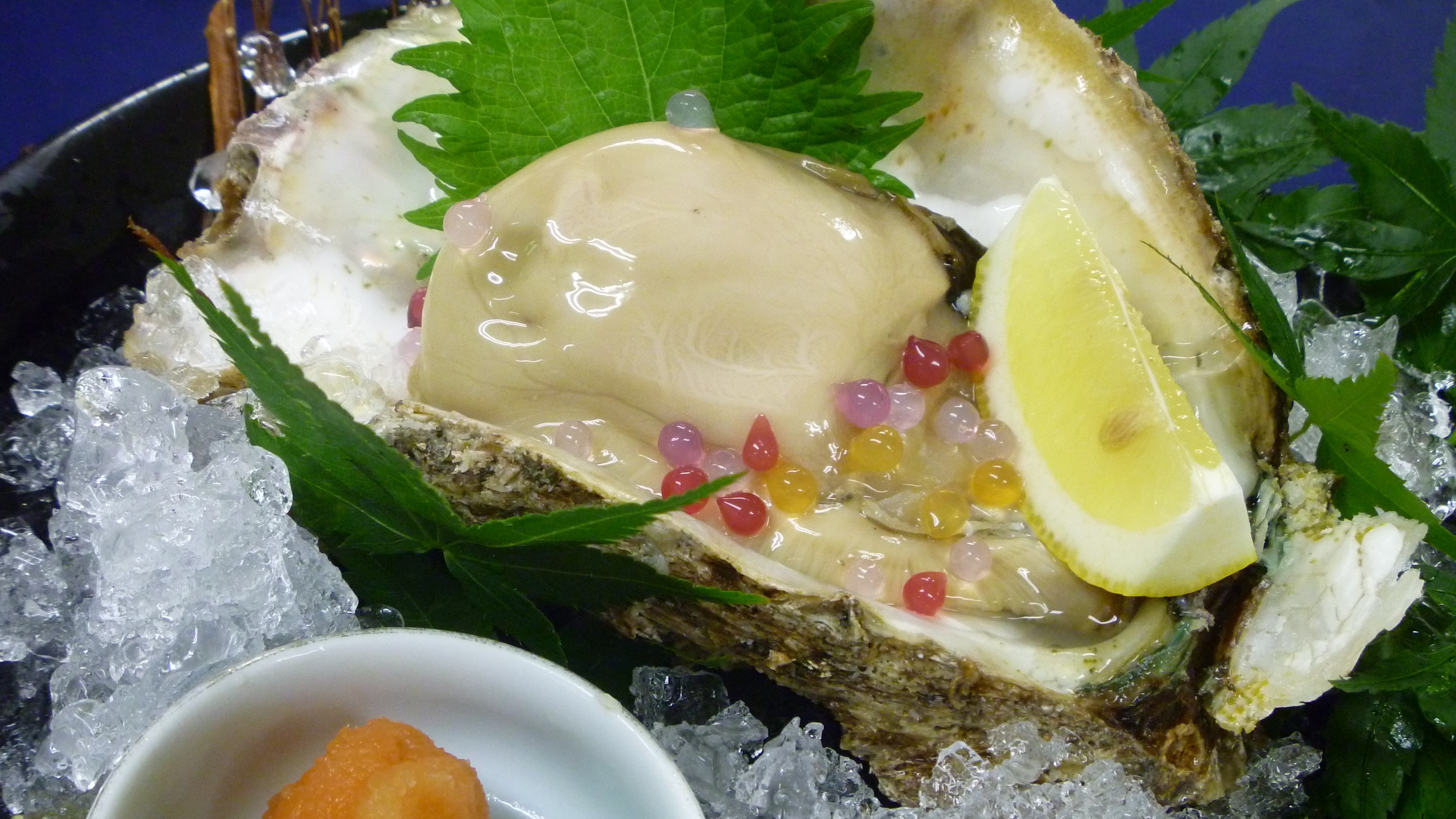 【岩蚝】我们最受欢迎的夏季限定加点菜品！被誉为“海中奶酪”，这道菜口感浓郁、奶香四溢、风味十足，绝对值得一试！