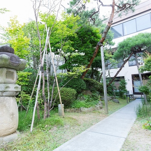 庭院