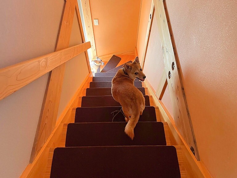 [อาคาร 2 ชั้น] บันไดกันลื่น