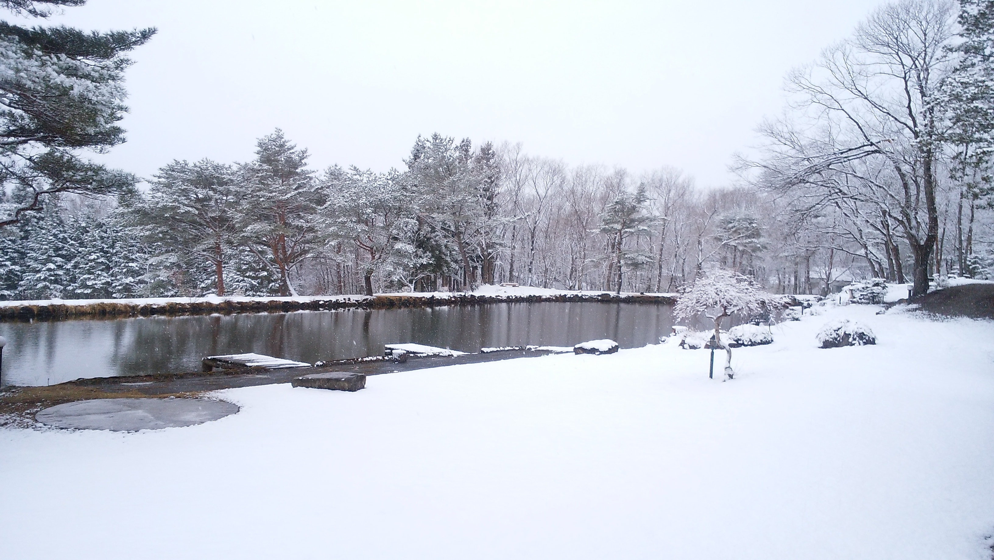 snow scene