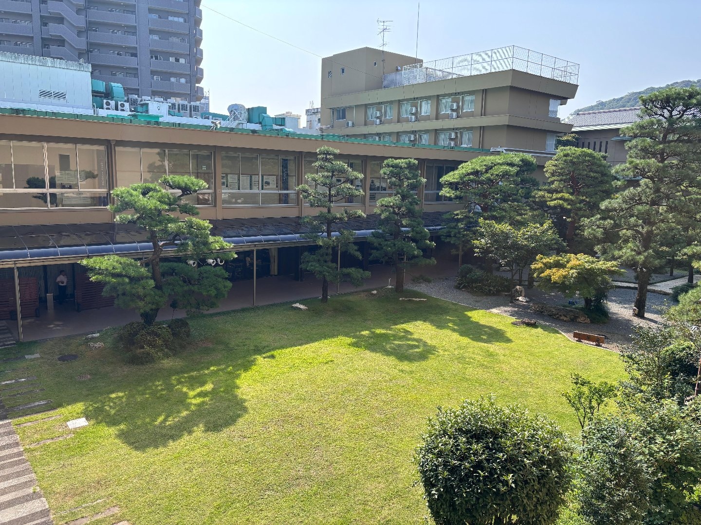 IMG_8770.jpeg