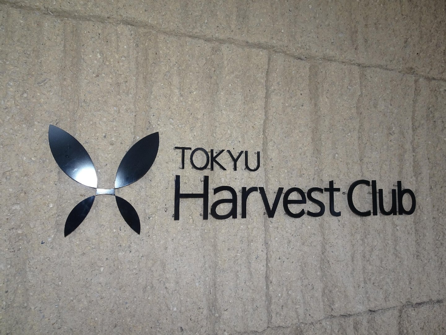 DSC04286.JPG