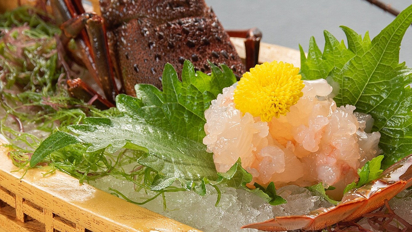 *[Ví dụ bữa tối] Sashimi tôm hùm