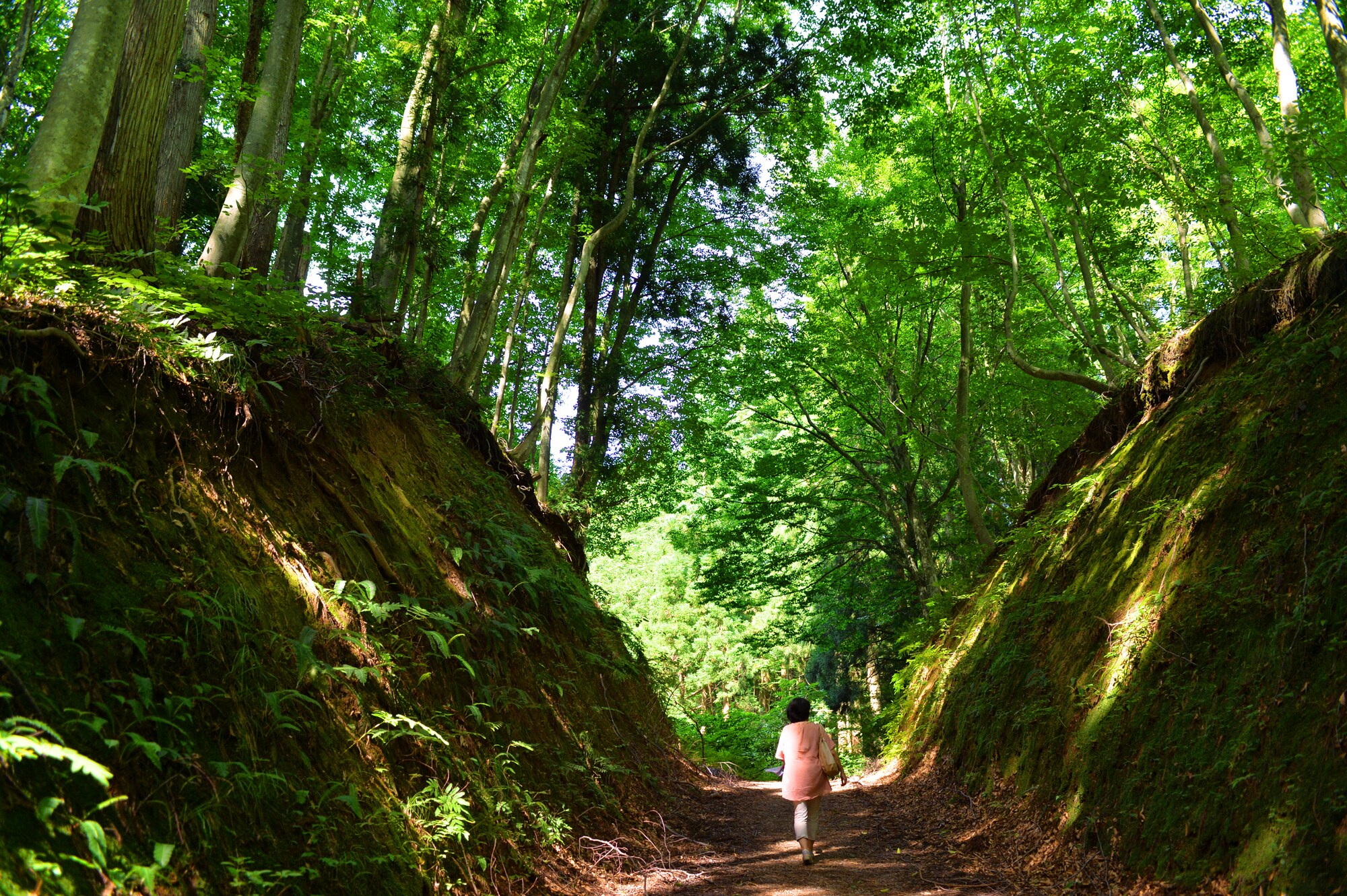 Beautiful Women Forest