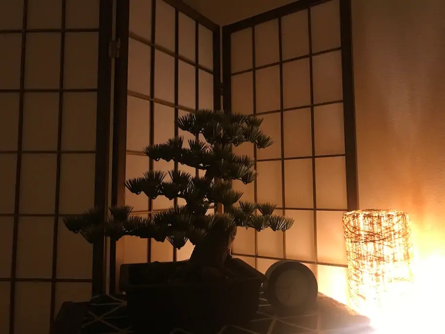 Indoor decoration: Bonsai