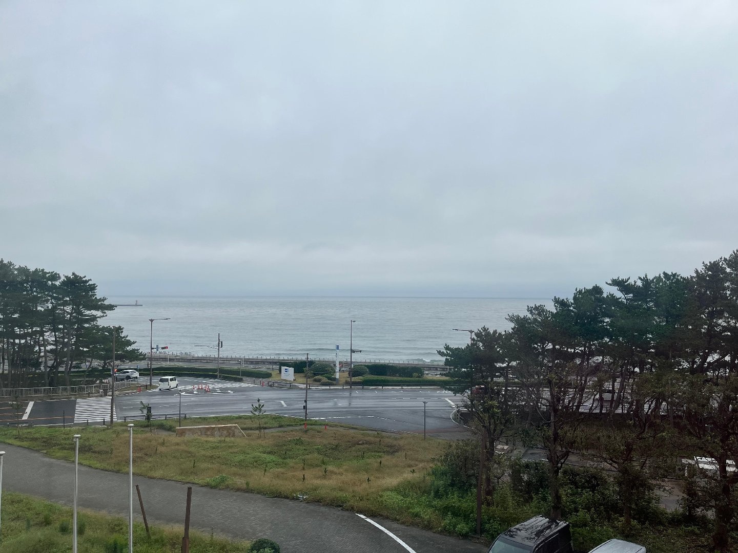 IMG_8736.jpeg