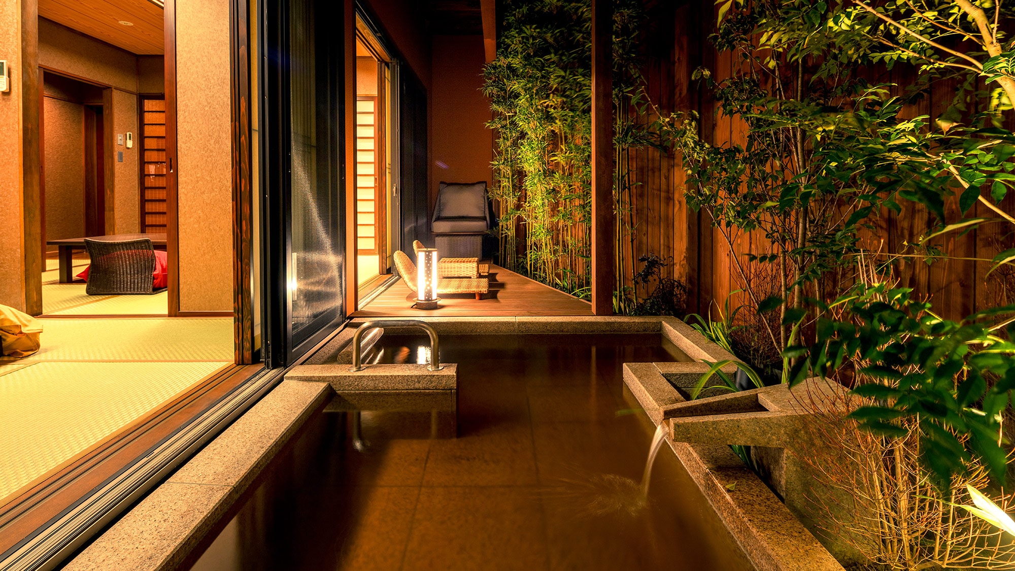 [NEW] Mizubasho (water plantain)