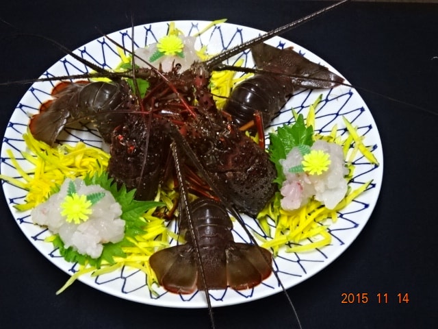 이세 새우의 구조