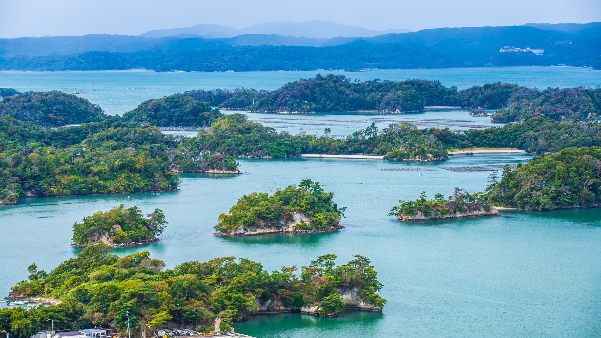 อ่าวมัตสึชิมะ