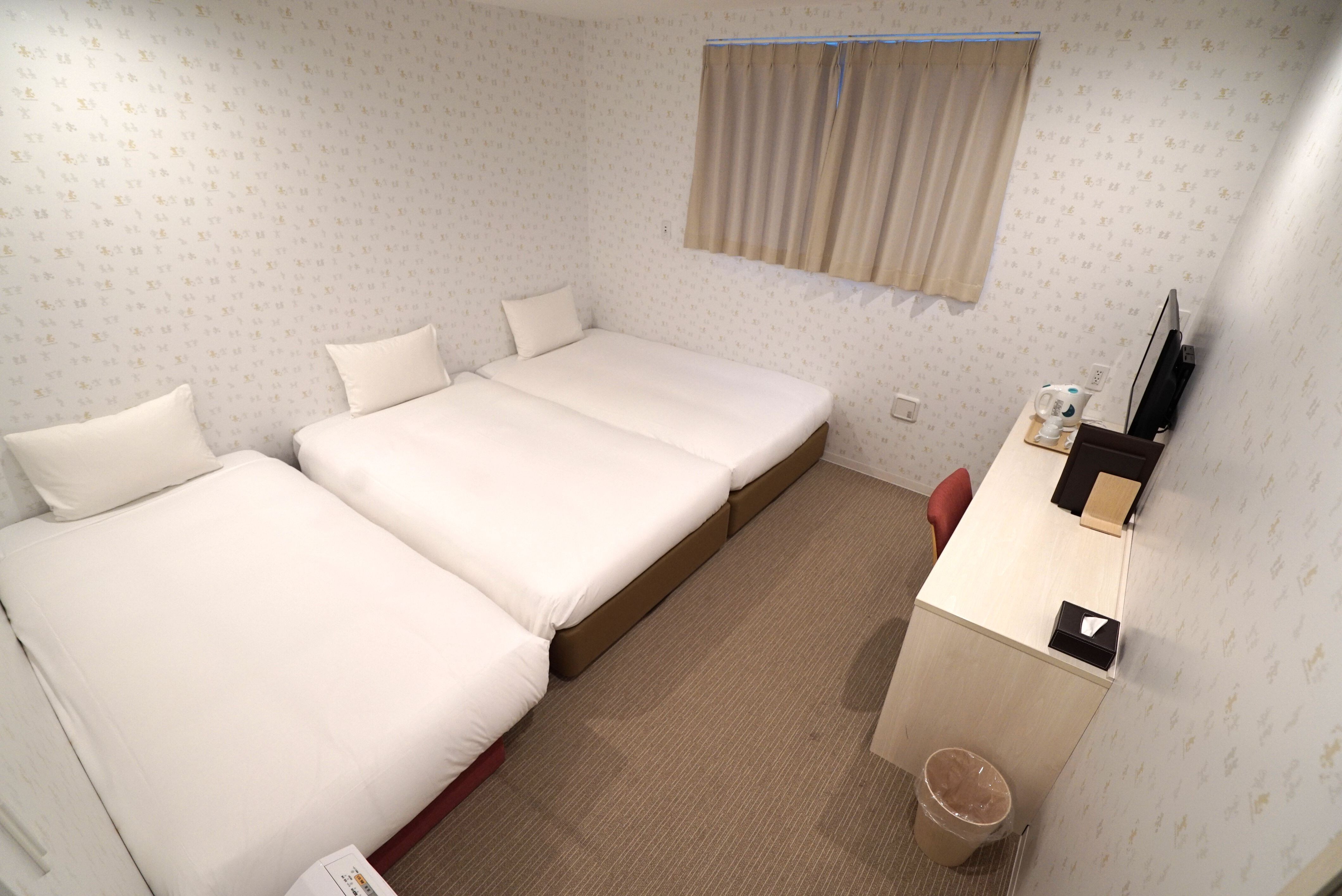 Deluxe Twin Room (for 3 people)