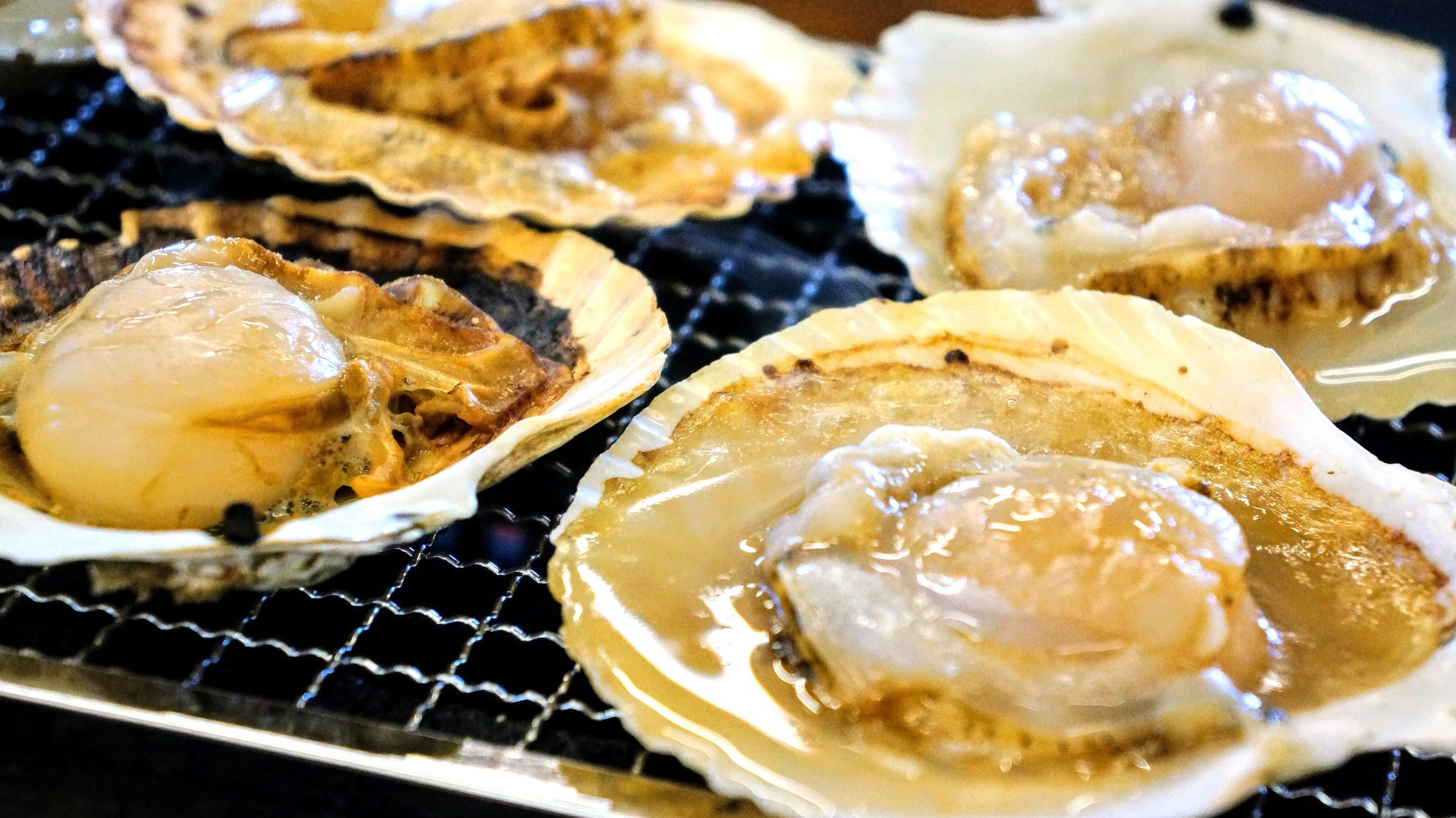 新鮮的爐端烤扇貝！ 2025年5月12日至6月30日