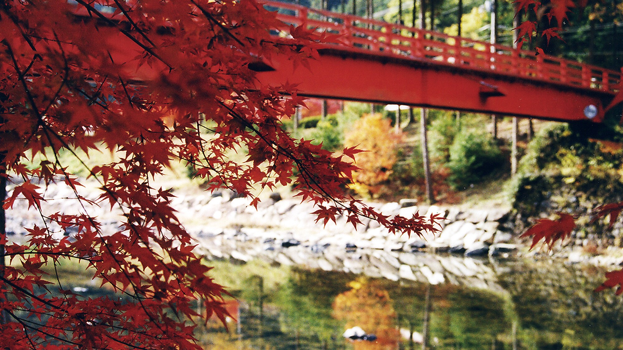 [觀光] 友嚴溪自然公園