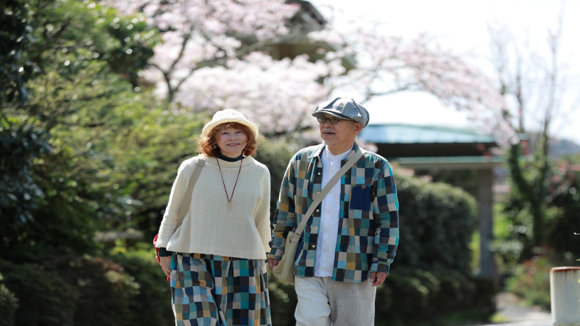[圖] 此計劃僅限50歲以上人士參加