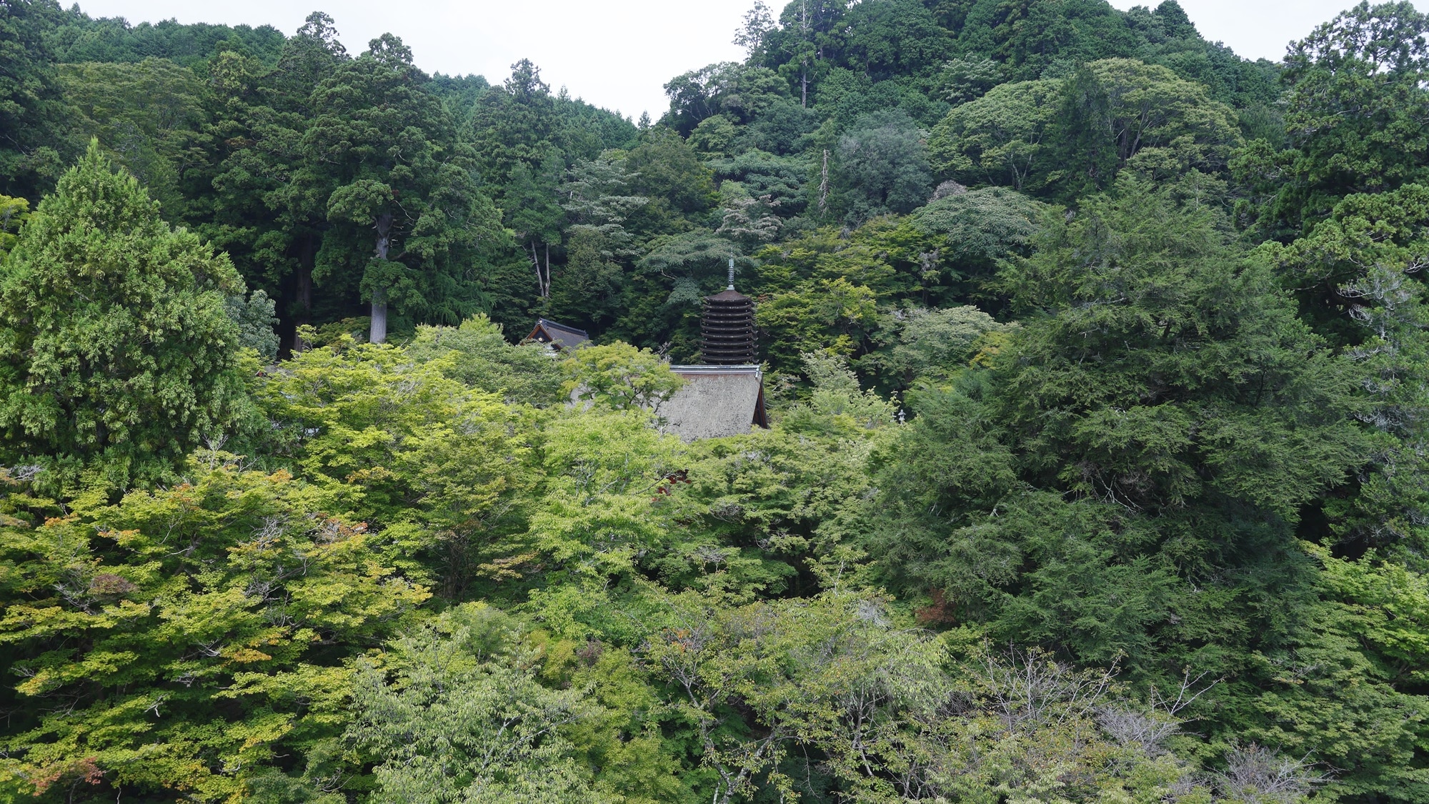 ★東樓客房（神社參拜殿）景觀