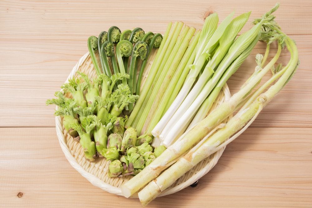 Wild vegetable dishes
