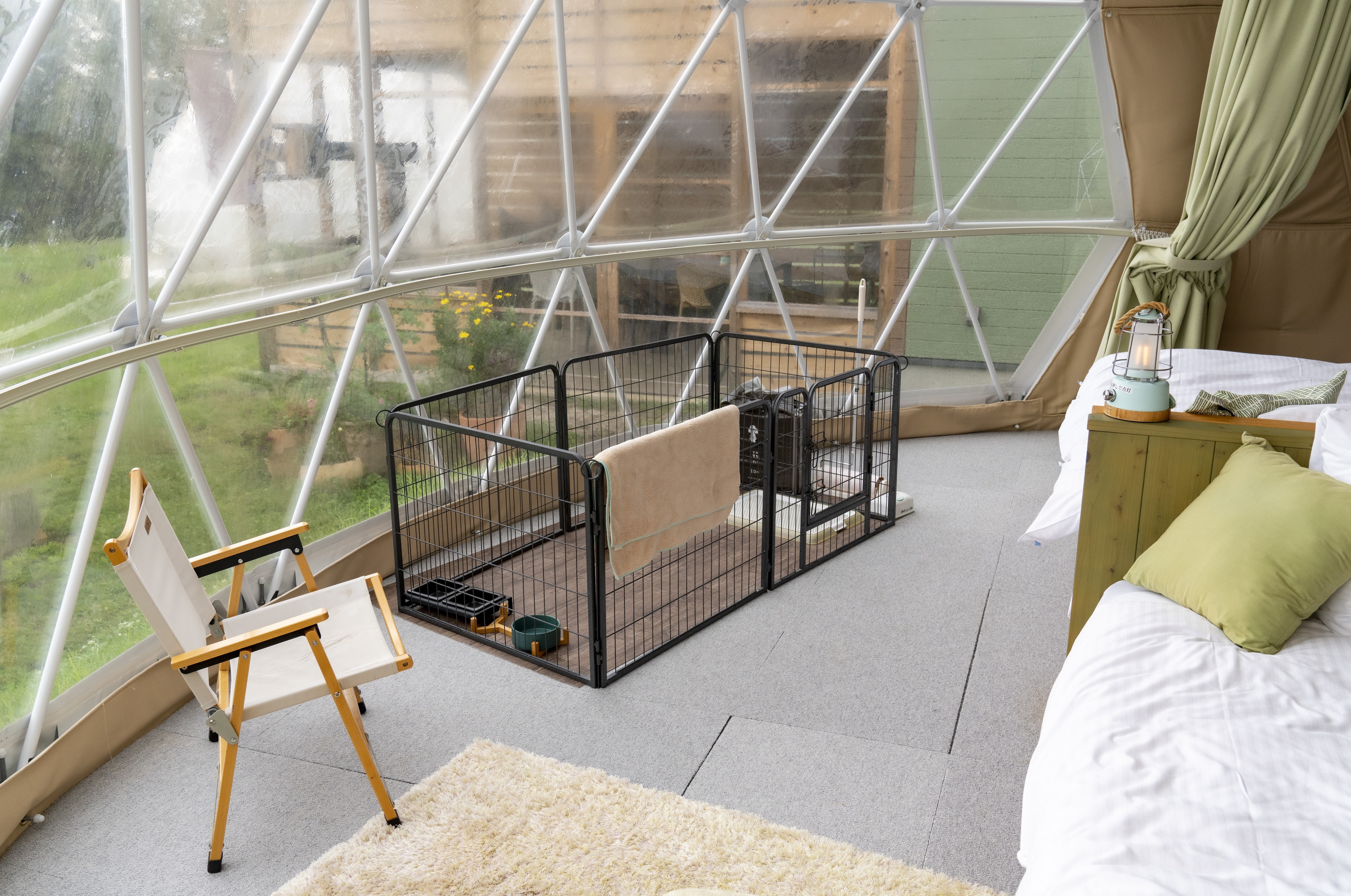 Inside the Dog Dome