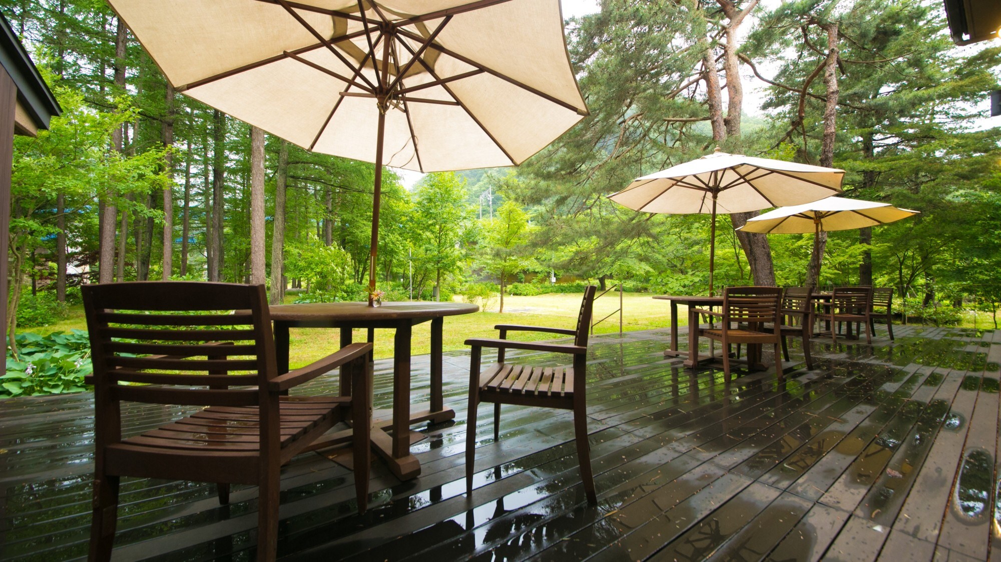 Terrace: The terrace, with its pleasant sunlight filtering through the trees and forest breeze, is the perfect spot to enjoy nature throughout the seasons.