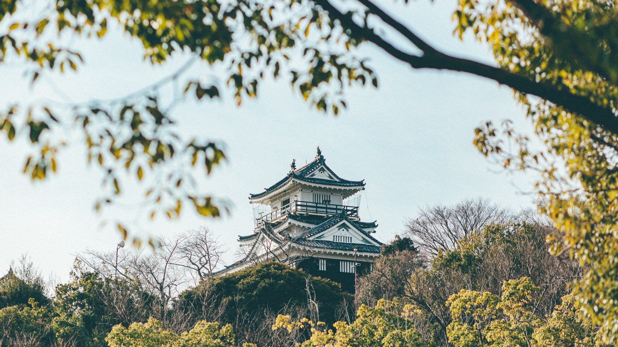 Hamamatsu Castle①