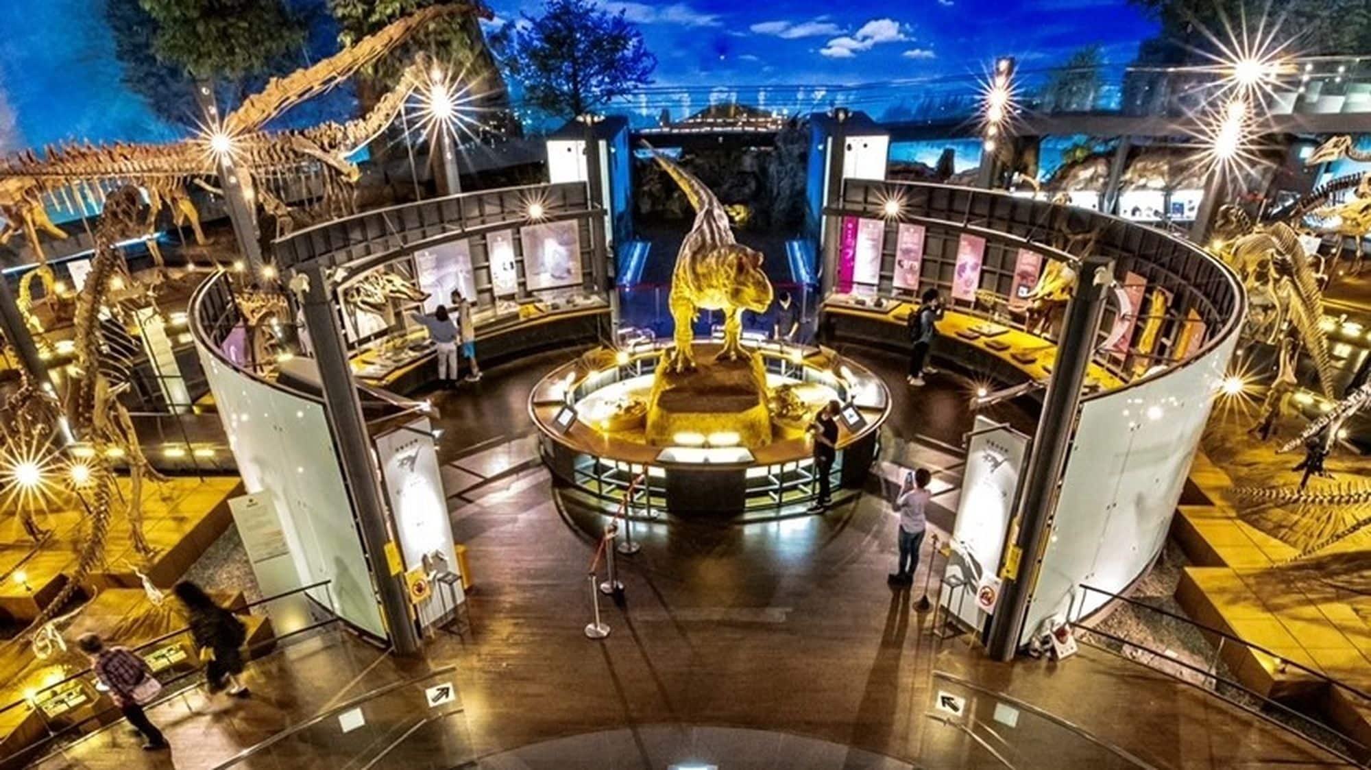 The Dinosaur Museum will reopen on Friday, July 14, 2023