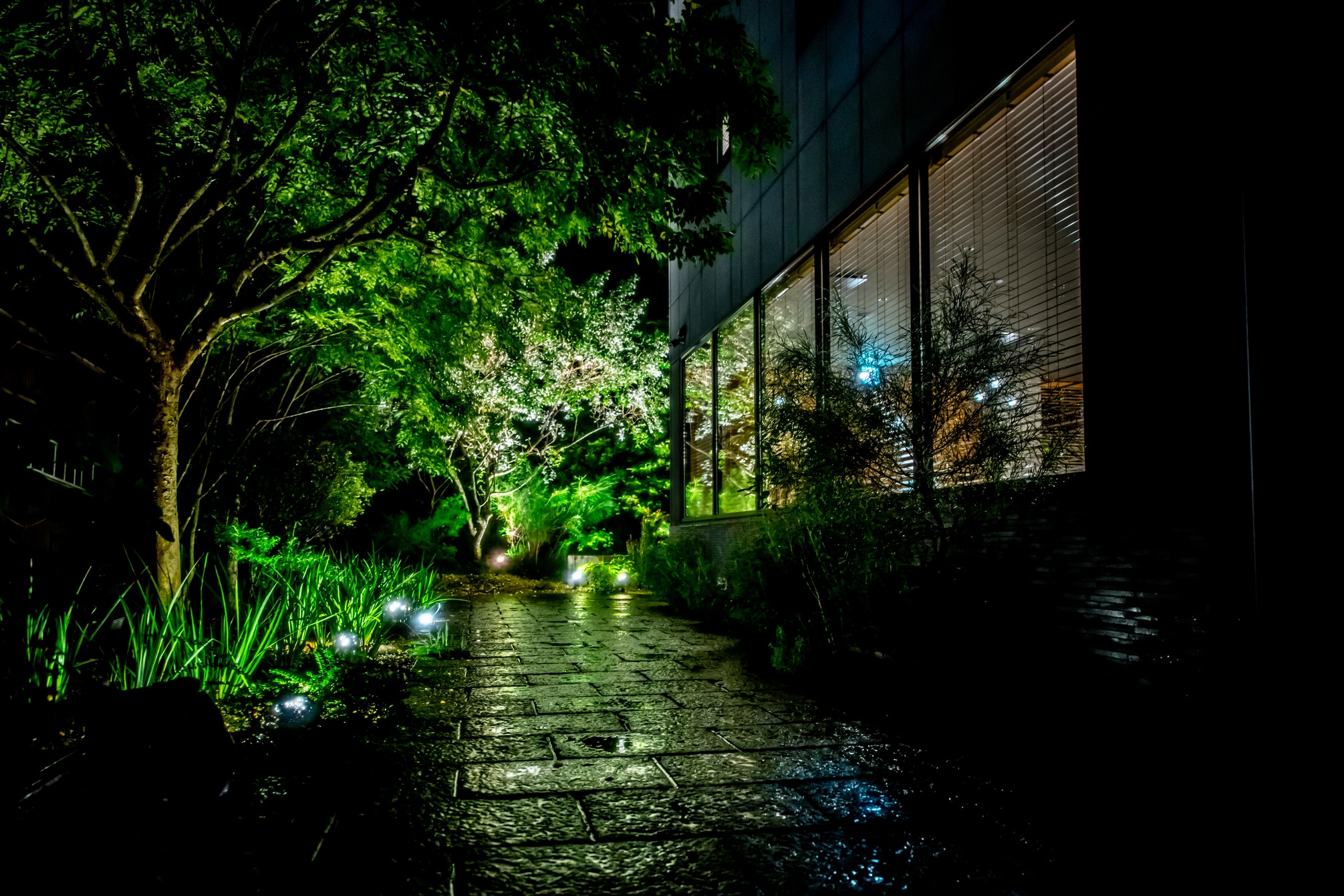 Garden Light-Up 1