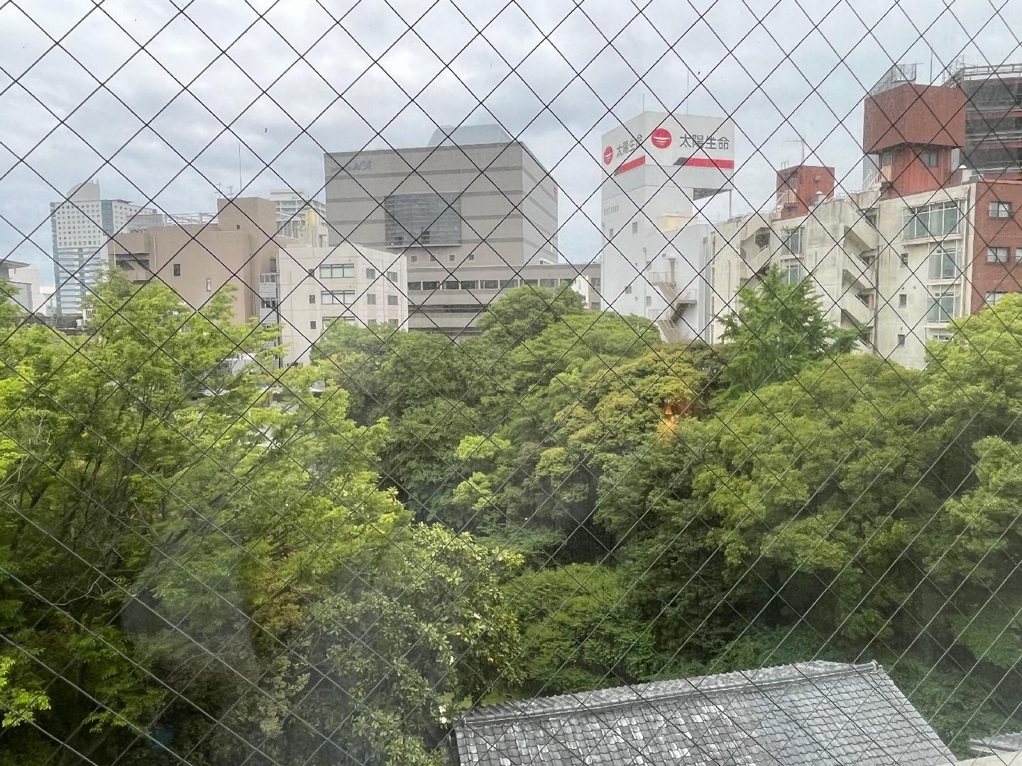 5AEEB95C-12CF-4CB5-A284-8D149A3BCE9E.jpeg