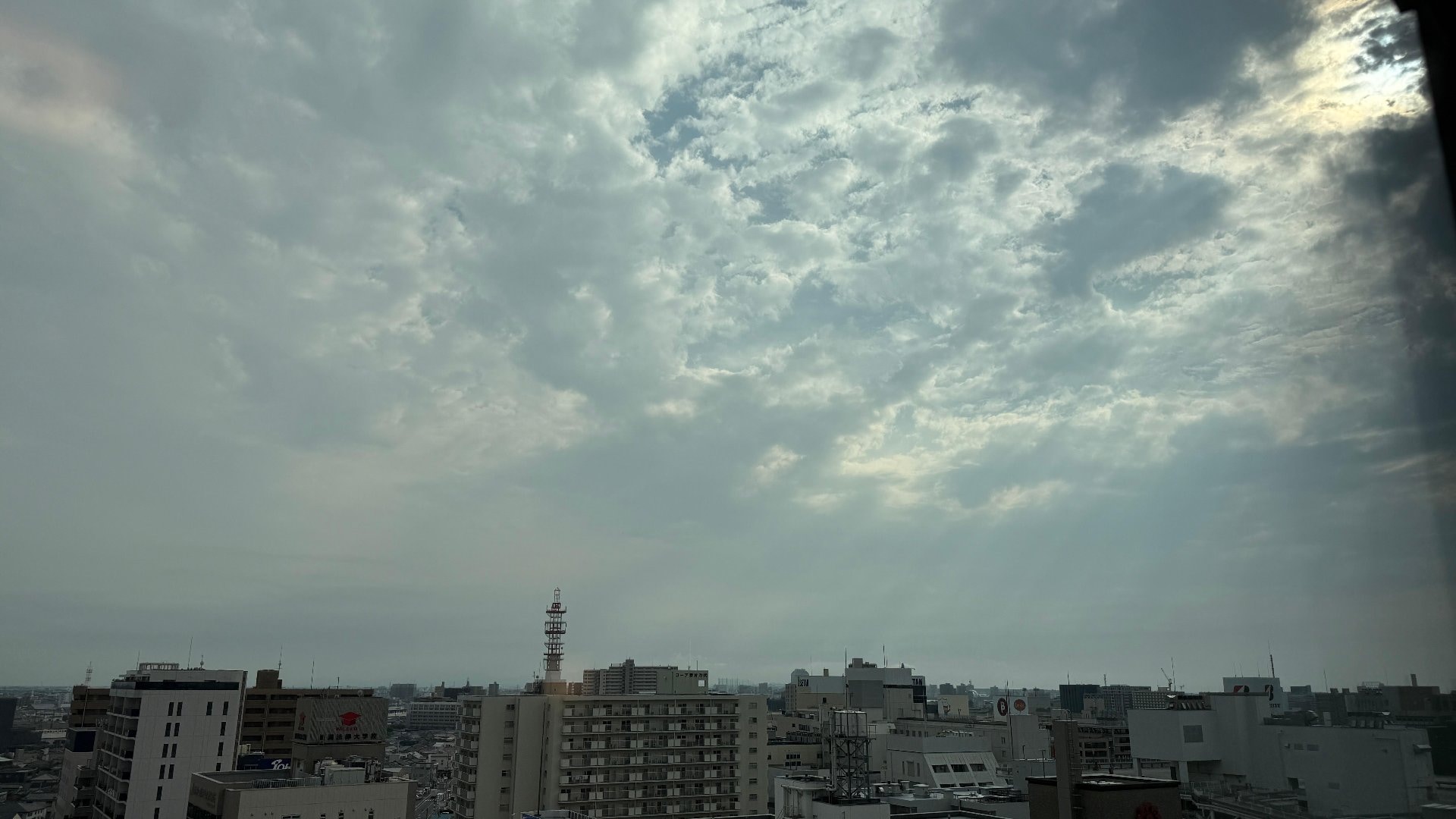 IMG_8733.jpeg