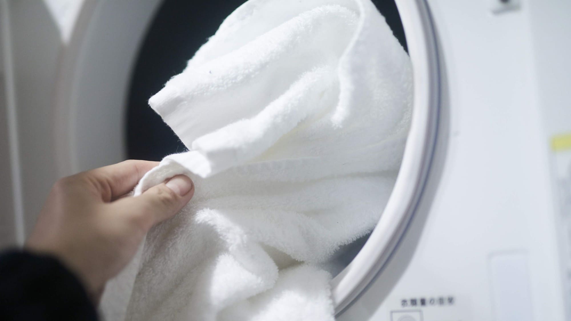 There is a coin laundry in our hotel.