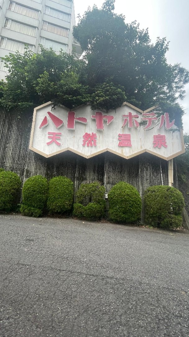746CF677-E150-4EEE-90CC-F309B1D61FA7.jpeg
