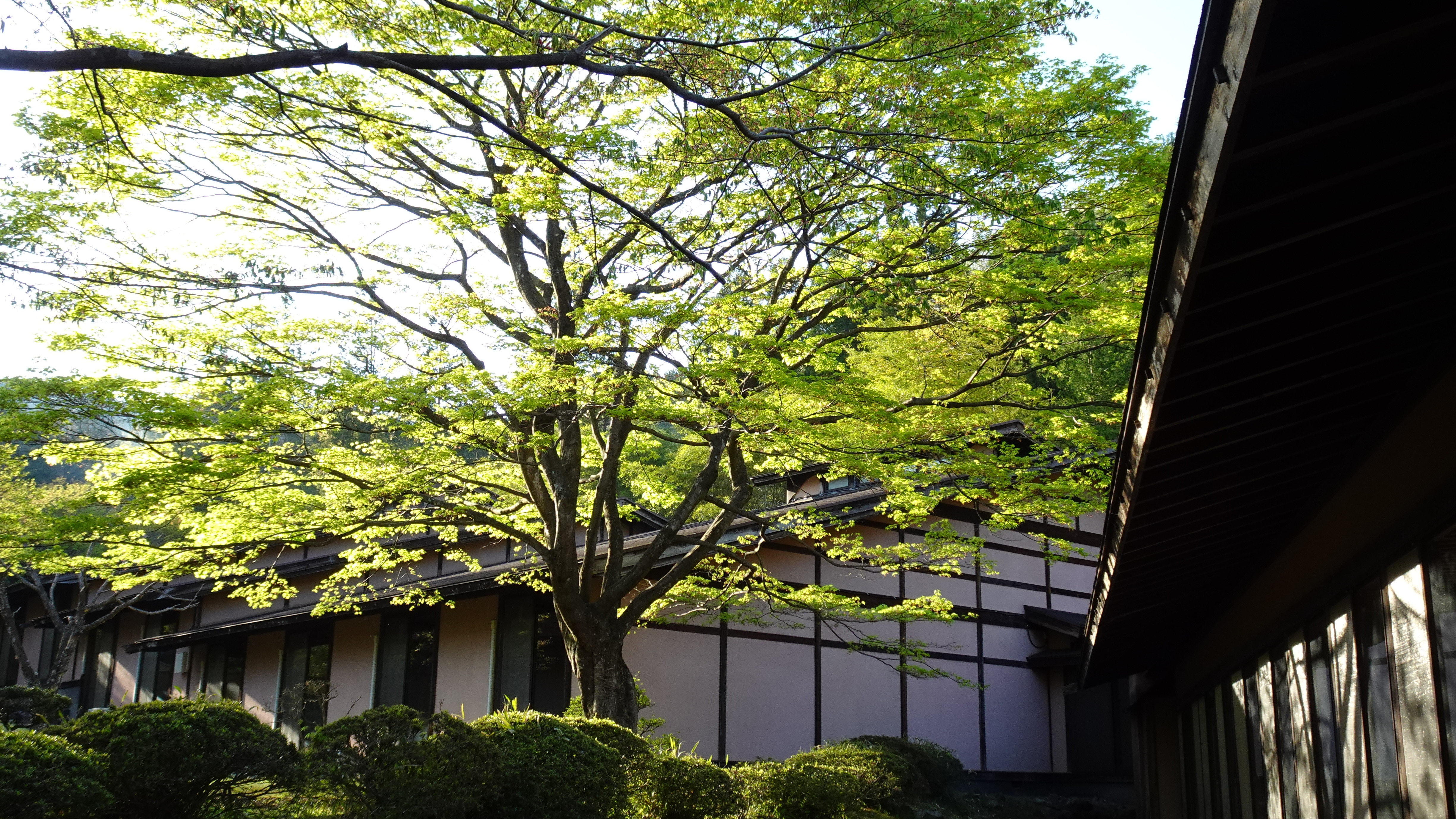 Mount Akagi - Nostalgia - Exterior