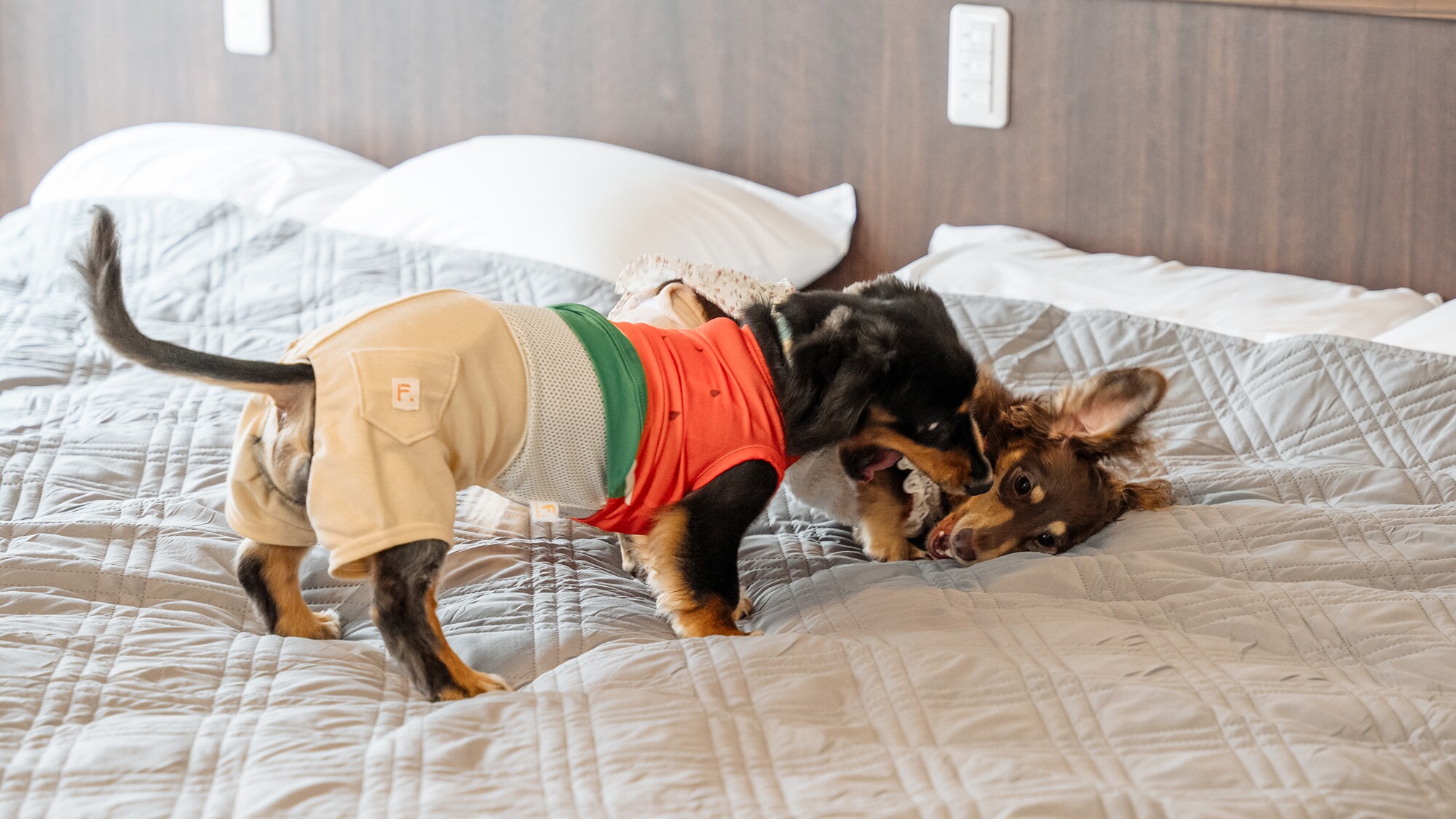 Bettei Aoimachi Guest Room 201 (Photo 4)