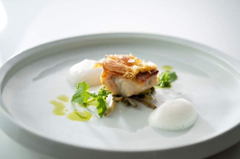 รูปจาน “Tresonnier”