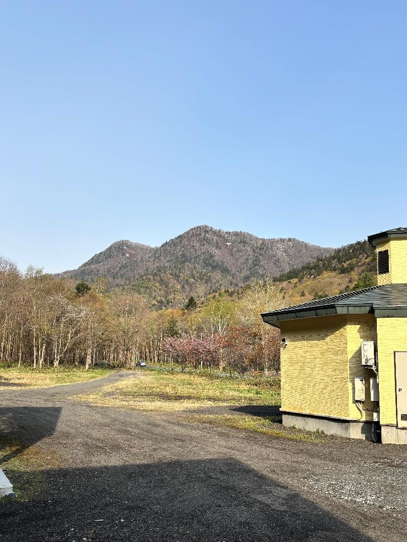 IMG_8044.jpeg