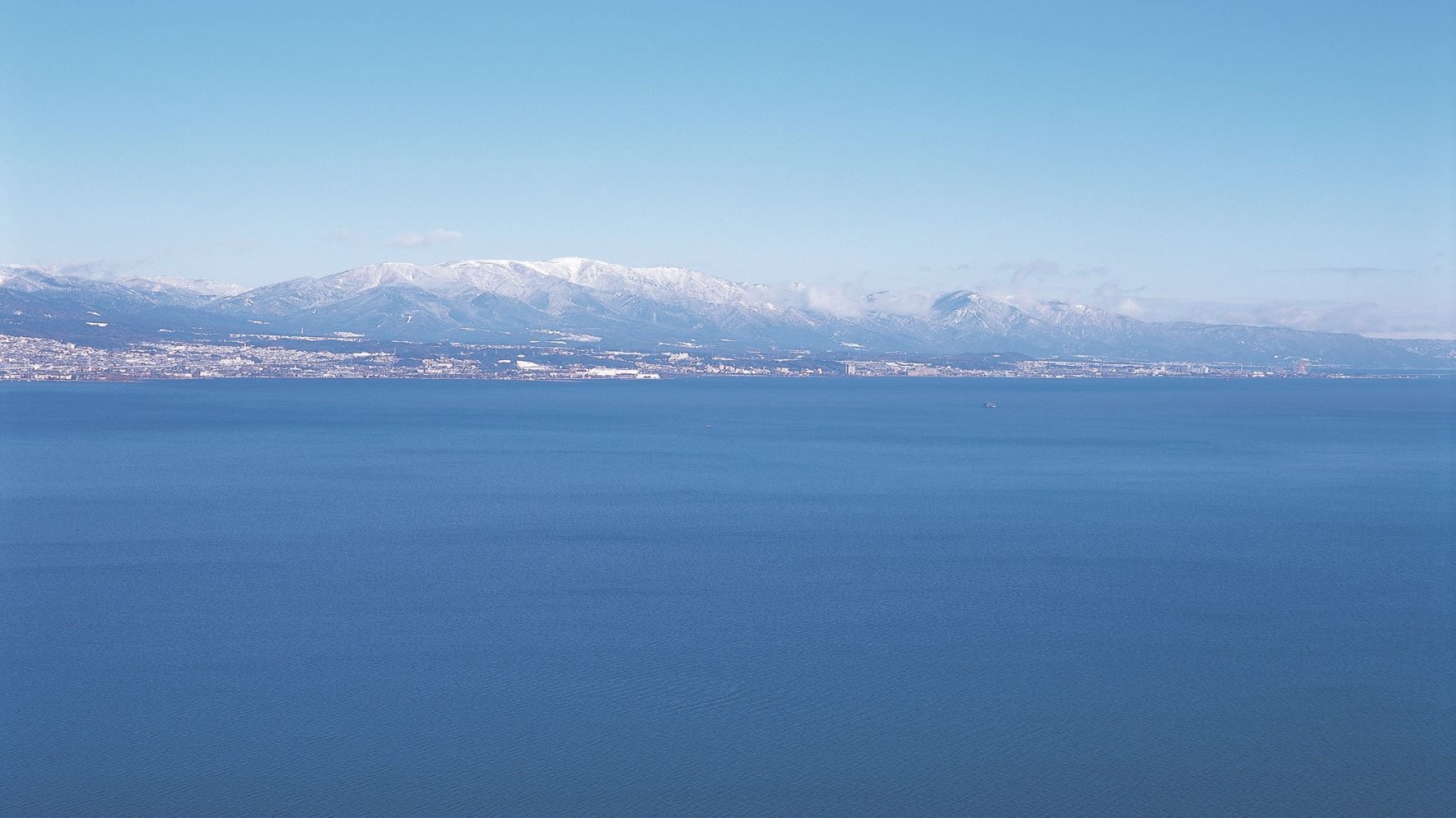 希拉的雪招募